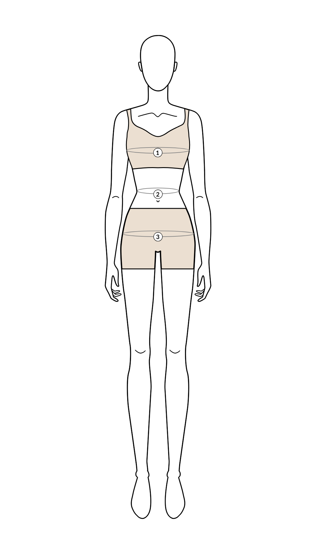Women's measurement diagram